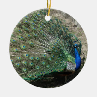Beautiful Peacock Keramikornament