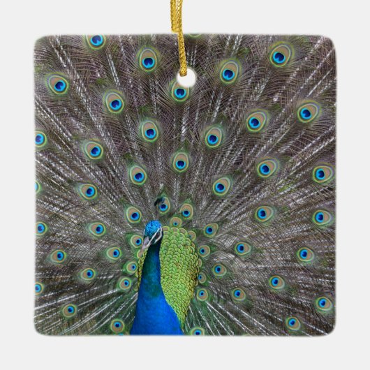 Beautiful Peacock Keramikornament (Vorderseite)