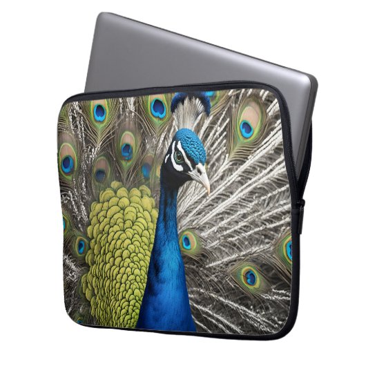 Beautiful Peacock Laptopschutzhülle (Vorderseite Links)