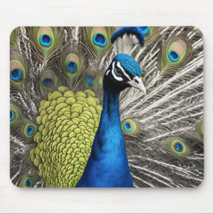Beautiful Peacock Mousepad