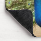 Beautiful Peacock Mousepad (Ecke)