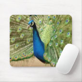 Beautiful Peacock Mousepad (Mit Mouse)