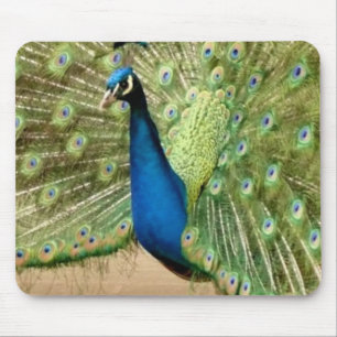 Beautiful Peacock Mousepad