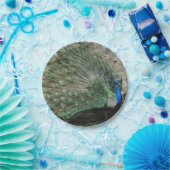 Beautiful Peacock Pappteller (Party)