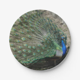 Beautiful Peacock Pappteller