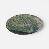 Beautiful Peacock Pappteller (Schrägansicht)