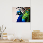 Beautiful Peacock Pfau Bird Willife P Poster (Küche)
