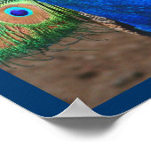 Beautiful Peacock Poster (Ecke)