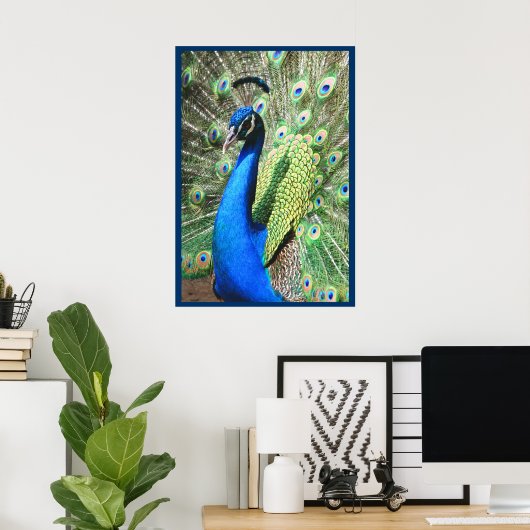 Beautiful Peacock Poster (Heimbüro)