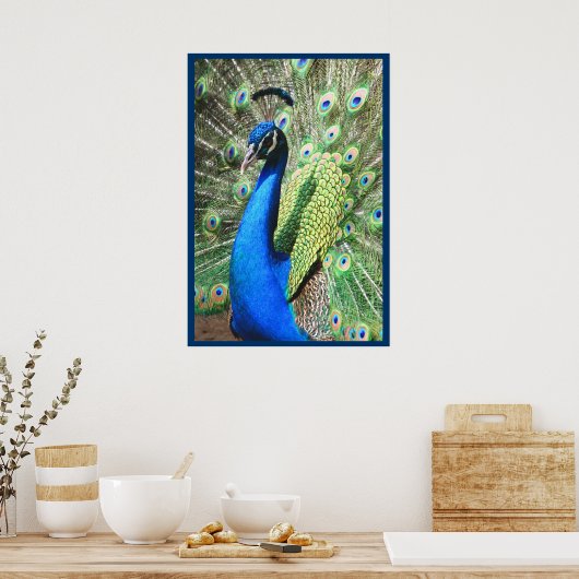 Beautiful Peacock Poster (Küche)