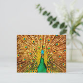 Beautiful Peacock Postkarte (Stehend Vorderseite)