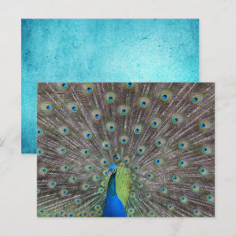 Beautiful Peacock Postkarte