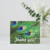 Beautiful Peacock Postkarte (Stehend Vorderseite)
