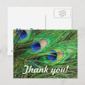 Beautiful Peacock Postkarte (Vorne/Hinten)
