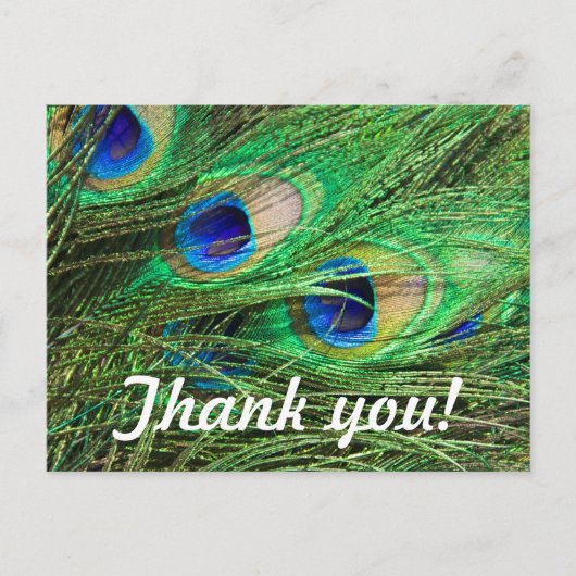 Beautiful Peacock Postkarte (Vorderseite)