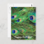 Beautiful Peacock Postkarte (Vorne/Hinten)