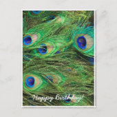 Beautiful Peacock Postkarte (Vorderseite)