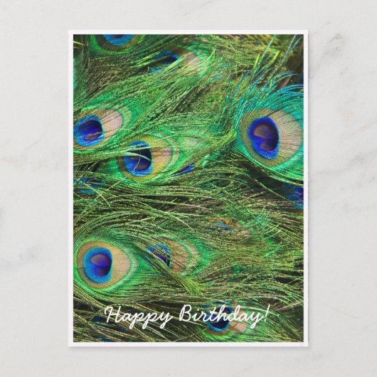 Beautiful Peacock Postkarte (Vorderseite)