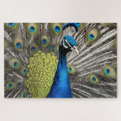 Beautiful Peacock Puzzle (Horizontal)