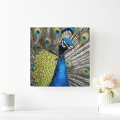 Beautiful Peacock Quadratische Wanduhr (Zuhause)