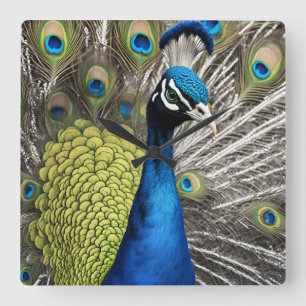 Beautiful Peacock Quadratische Wanduhr