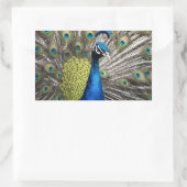 Beautiful Peacock Rechteckiger Aufkleber (Tasche)