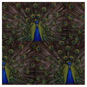 Beautiful Peacock Stoff