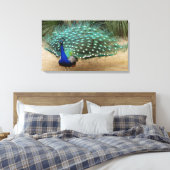 Beautiful Peacock Stretched Canvas Print Leinwanddruck (Insitu (Schlafzimmer))