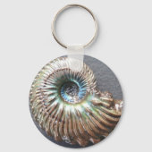 Beautiful pearly shelled ammonite fossil schlüsselanhänger (Vorderseite)