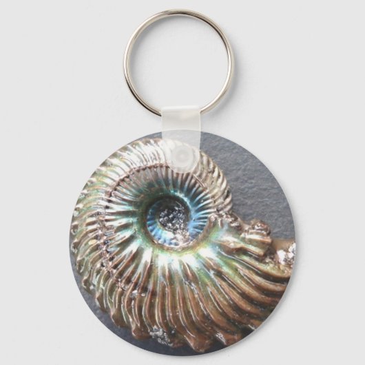 Beautiful pearly shelled ammonite fossil schlüsselanhänger (Vorderseite)
