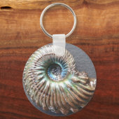 Beautiful pearly shelled ammonite fossil schlüsselanhänger (Vorderseite)