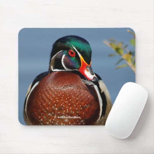 Beautiful Pensive Wood Duck in the Marsh Mousepad (Mit Mouse)