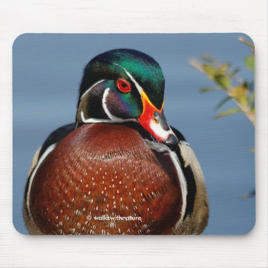Beautiful Pensive Wood Duck in the Marsh Mousepad (Vorne)