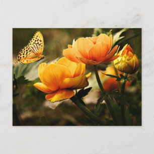 Beautiful Peonies and Butterfly  Postkarte