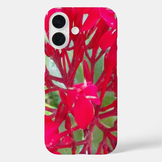 Beautiful Phantastisch Red Blume QPC Template Case-Mate iPhone Hülle (Rückseite)