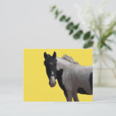 Beautiful Piebald Pony Postkarte (Stehend Vorderseite)