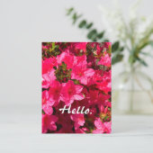 Beautiful Pink Azaleas Flowers Hello Postcards 2 Postkarte (Stehend Vorderseite)