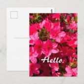 Beautiful Pink Azaleas Flowers Hello Postcards 2 Postkarte (Vorne/Hinten)