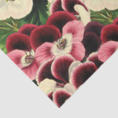 Beautiful Pink Burgundy Cream Geranium Botanisch Seidenpapier (Ausschnitt)