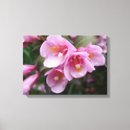 Beautiful Pink Floral Canvas Print Leinwanddruck