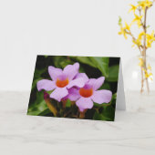 Beautiful Pink Mandevilla Blume Karte (Gelbe Blume)