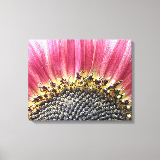 Beautiful Pink Sonnenblume Canvas Print Leinwanddruck (Vorderseite)
