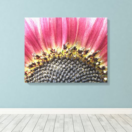 Beautiful Pink Sonnenblume Canvas Print Leinwanddruck (Insitu (Holzboden))