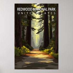 Beautiful Place Redwood National Park USA Travel Poster