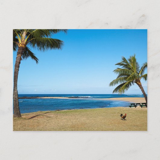 Beautiful Po'ipu Beach, Kaua'i, Hawaii Postkarte (Vorderseite)