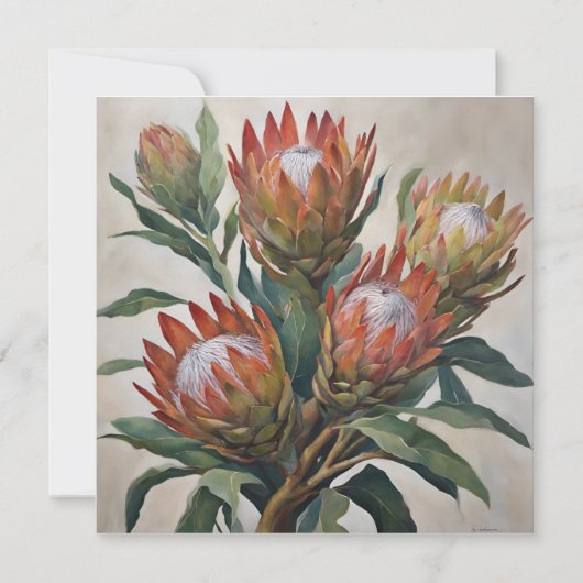 Beautiful Protea Blume aus Südafrika (Vorderseite)