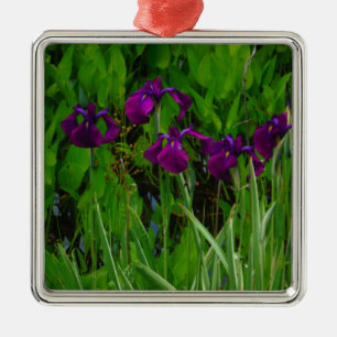 Beautiful Purple Iris Silbernes Ornament