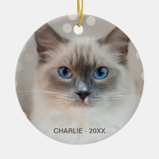 Beautiful Ragdoll Cat & Editable Name Keramik Ornament (Vorne)