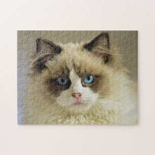 Beautiful Ragdoll Cat with Blue Eyes Puzzle