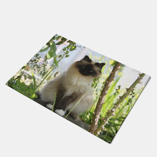 Beautiful Ragdoll Fußmatte (Schrägansicht)